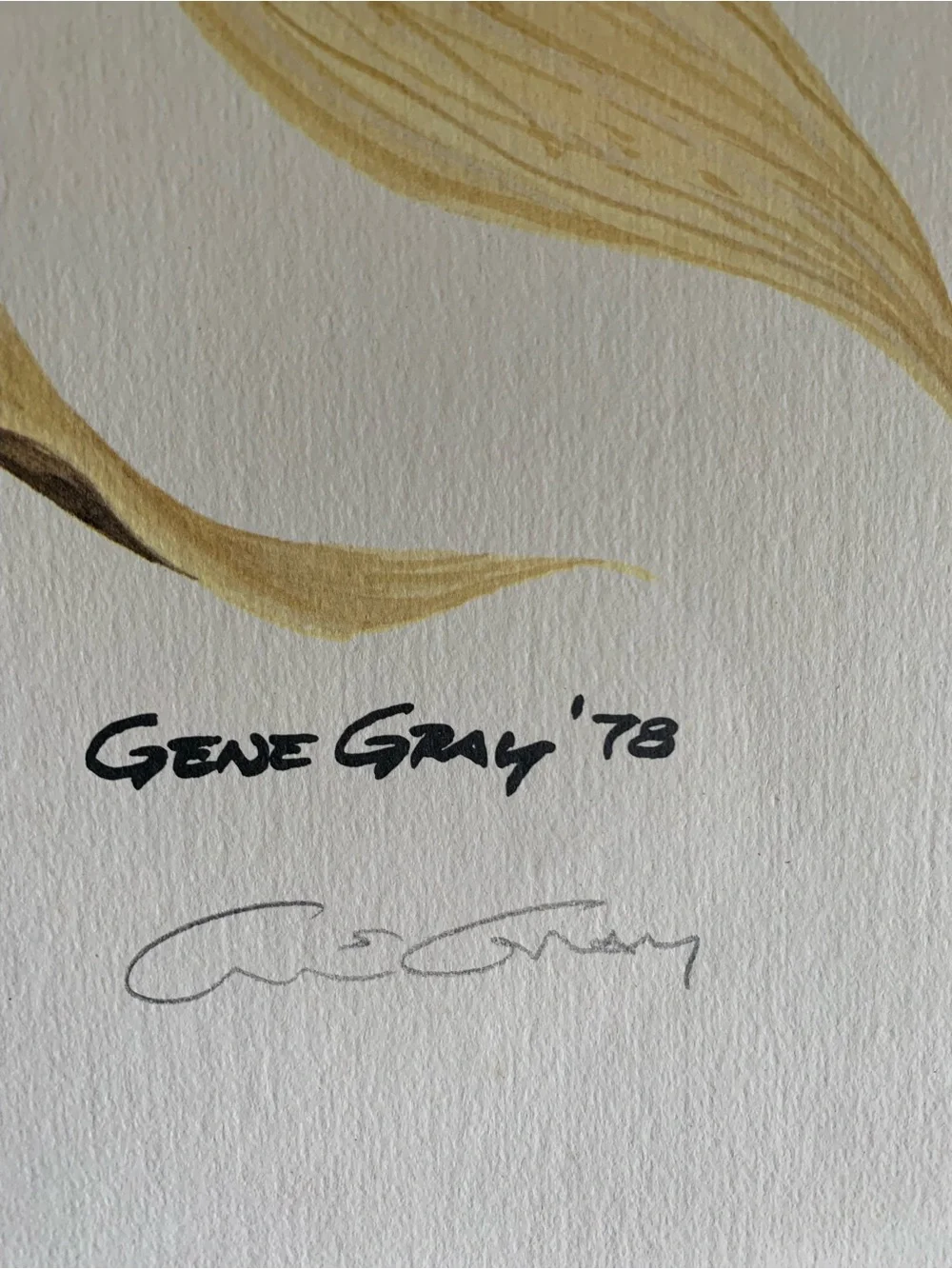 Vintage Gene Gray Limited Edition Print Black Crow Wall Art Print 1978 Nature